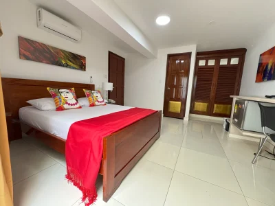 Habitación sencilla 101 del Hotel Boutique Luxury en Cali