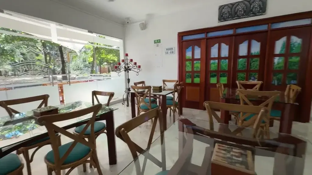 Cafetería del Hotel Boutique Luxury con vista a los árboles del sector